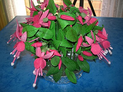 fucsia